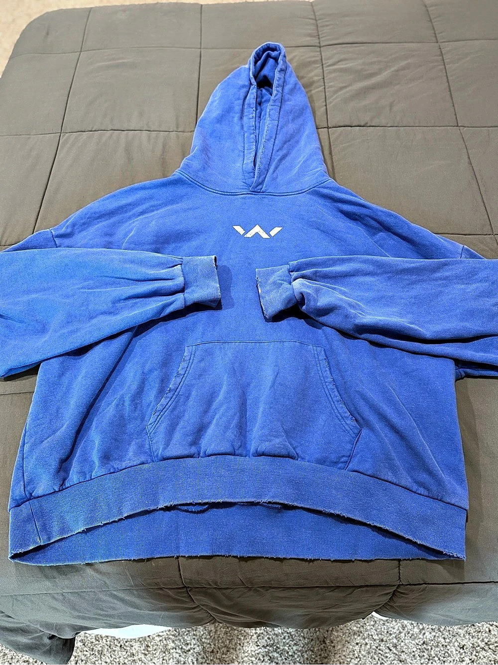 Blue Graphic Pullover Hoodie